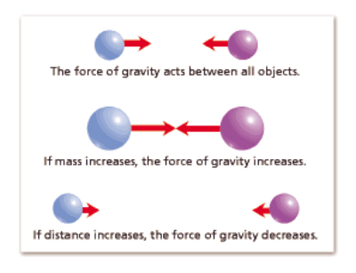 Why Gravity Is Not Like the Other Forces