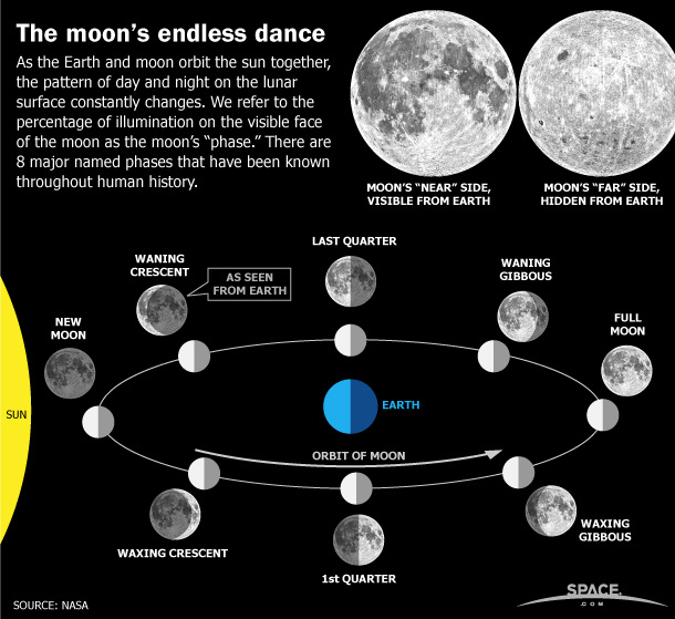 The EarthMoon Relationship Science News