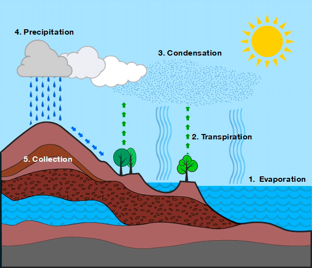 The Water Cycle - Science News